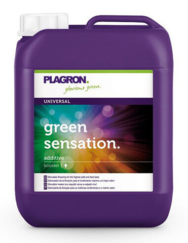 Green Sensation Plagron 5L